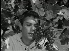 Load image into Gallery viewer, The Great Imposter Tony Curtis DVD Media > DVDs & Videos Retro and Classic Flixs