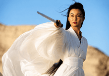 Load image into Gallery viewer, Blades of the Guardians: Wind Rises in the Desert (2026) DVD — Wu Jing, Jet Li &amp; Nicholas Tse Media > DVDs &amp; Videos Retro and Classic Flixs 
