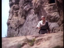 Load image into Gallery viewer, American Shaolin (a.k.a King of the Kickboxers 2) Dvd Film &amp; Television DVDs Retro and Classic Flixs 
