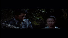 Load image into Gallery viewer, Gunman's Walk DVD Film &amp; Television DVDs Retro and Classic Flixs 
