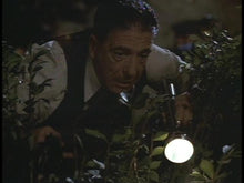 Load image into Gallery viewer, The Public Eye Joe Pesci Dvd Film &amp; Television DVDs Retro and Classic Flixs 
