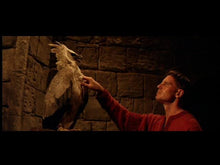 Load image into Gallery viewer, The Warlord Charlton Heston Dvd Film &amp; Television DVDs Retro and Classic Flixs 
