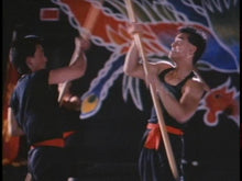 Load image into Gallery viewer, Tiger Claws Cynthia Rothrock DVD Film &amp; Television DVDs Retro and Classic Flixs 
