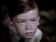 Load image into Gallery viewer, Vintage Song of the South Full Disney Gold Collection DVD | Classic Family Movie - Retro Classic Flixs-DVDs &amp; Videos
